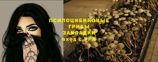 бошки Беломорск