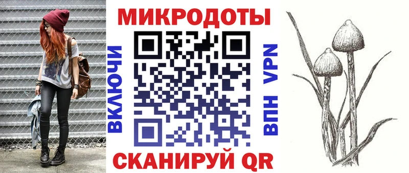 Псилоцибиновые грибы Psilocybine cubensis  блэк спрут как зайти  Жердевка 