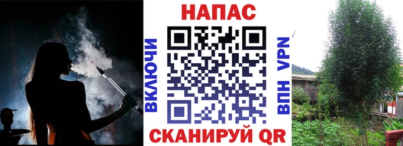 Канабис конопля  мега tor  Жердевка 